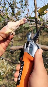 67K views · 324 reactions | ⭐ Product Link in Comments!⭐ Electric Pruning Scissors, Rechargeable Cordless Garden Pruner, 1-Inch (25mm) Cutting Diameter, 6.1V | YTshop | Facebook