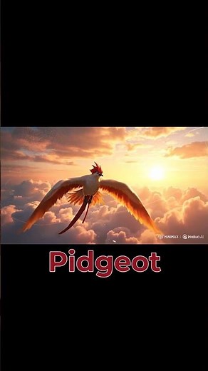 Pidgeot Pokémon Evolution #pokemon #pokémon