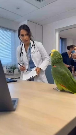 Doctor Series || “Parrot vs. Doctor Showdown” #talkingparrot #fyp #petparrot | Parrot Talking