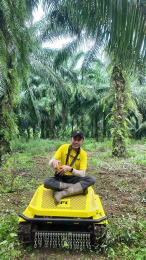 Mesin Weed Mower Terbaru dari Firman Indonesia FWM700R, ada remote controlnya! #fwm700r #weedmower