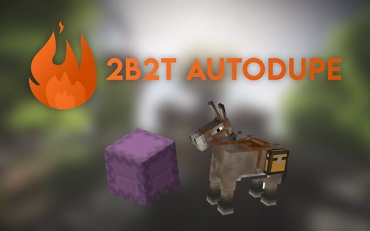 震惊!最新的2b2t复制方法!(2020.9.28)——使用pyro cilent的autoduper