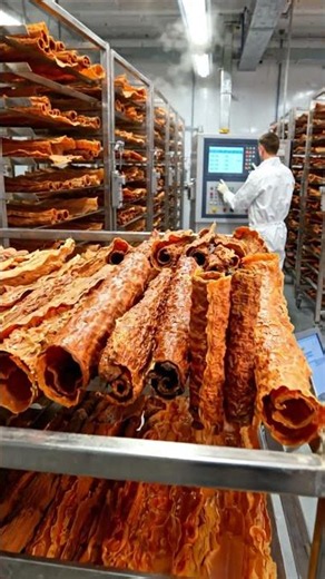 Inside the Factory Making Premium Cinnamon Powder