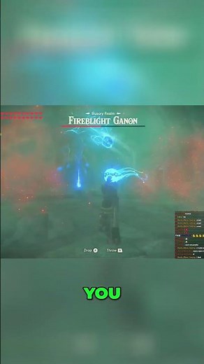Defeating Fireblight Ganon in Breath of the Wild