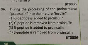 ВТ0085During the processing of the prohormone "proinsulin" int... | Filo