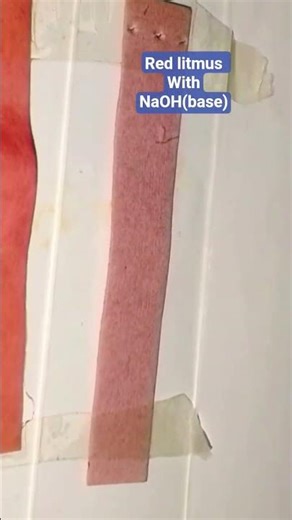 Litmus paper Experiment 👨‍🔬🧑‍🔬