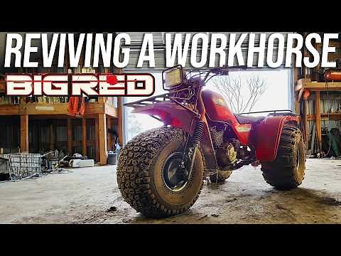 We Bought a Neglected 1986 Honda ATC250 “Big Red” | Reviving a Legendary 3 Wheeler