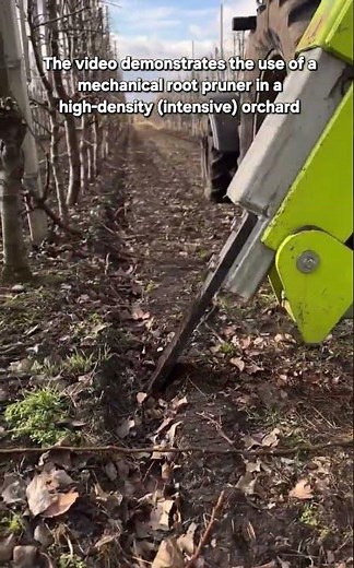 Modern Root Pruning Machine for High-Density Orchards | Agricultural Innovation