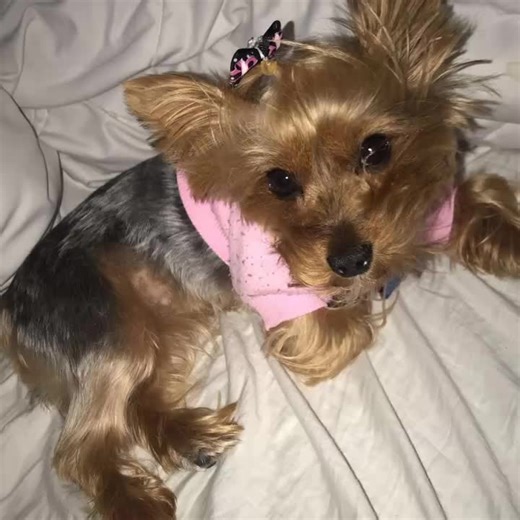 Stephanie Myers (@stephanie_myers_)’s videos with original sound - Stephanie Myers