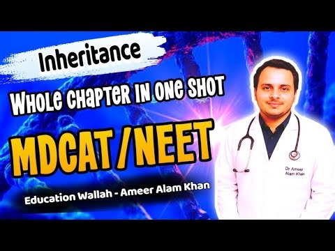 Inheritance in One Shot | MDCAT & NEET | Inheritance One Shot lecture | Dr Ameer Alam Khan
