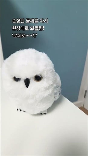 #해리포터 주문 #로페로