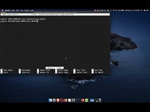 Paso 9 - Configuración variables de entorno