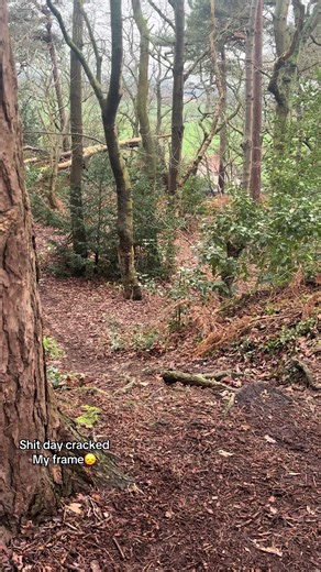 Dealing with a Cracked Bike Frame: What to Do Next