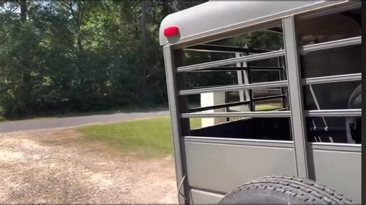 174K views · 8.4K reactions | Tex’s Second chapter | Ima Survivor Donkey and Farm Animal Sanctuary | Facebook