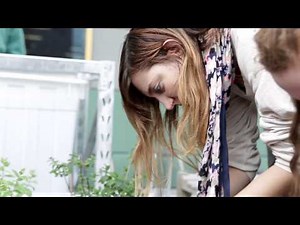 What can you do with an environment degree? | RMIT University