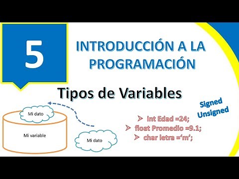 Tipos de variables básicas | Introducción a la programación!!!.. 😊