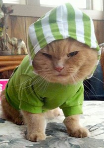 Five Things to Do This Weekend