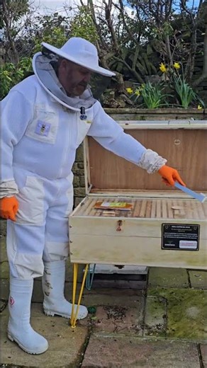 exciting times as the season is about to start #apitherapy #beekeeping #beeexperience #apitherapypod