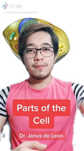 Janus Zuñiga De Leon on TikTok