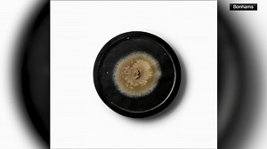 Medallion containing original mold from discovery of penicillin goes up for auction inscribed by Alexander Fleming