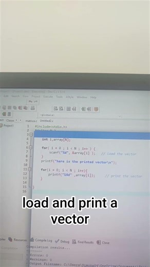 load and print a vector in C🧑🏻‍💻👍🏻