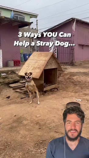 there is always a way to help