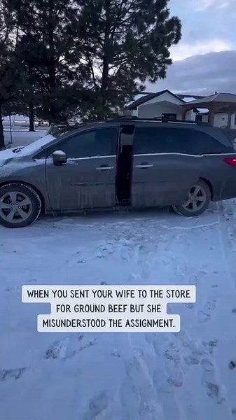 Assignment Failed Correctly ✔️ #FarmLife #FarmThings #CowsOfInstagram #CowThings #ThankAFarmer #ThankARancher #FarmWife #RanchWife #FamilyFarm Repost via Instagram @zwackfamilyfarm | RFD-TV