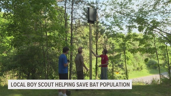 Boy Scout builds bat boxes to install in West MI parks