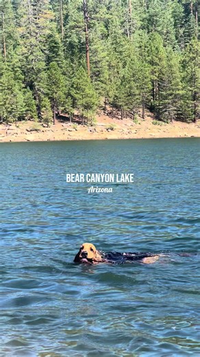 Exploring Bear Canyon Lake in Northern Arizona