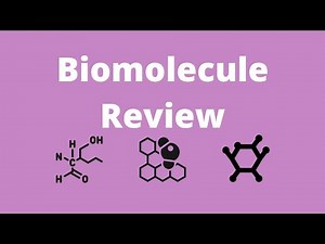 Biomolecule Review