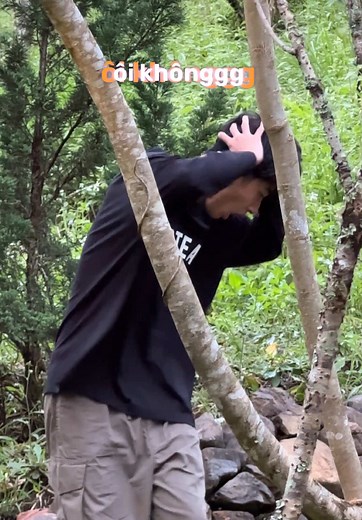 Understanding Snails: Lessons from My Experience