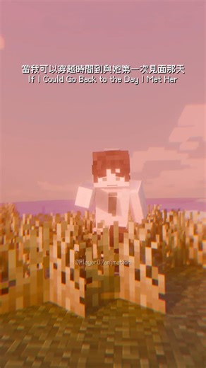 阿七_Player07 on Instagram: "Me with no hesitation 我覺不猶豫 #minecraft #minecraftreels #minecraftanimation"