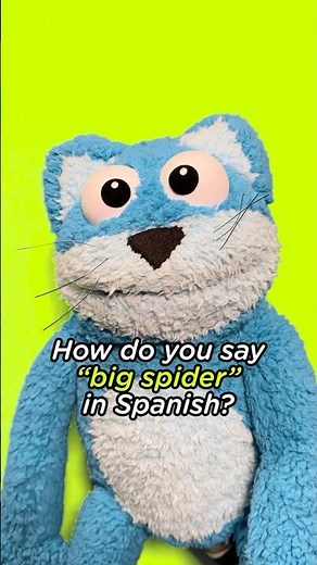 POV: You just found out ‘big spider’ in Spanish sounds like Araña Grande #arianagrande #viralshorts