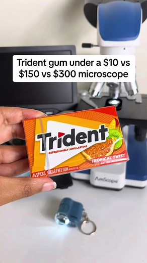 Microscope View on TikTok