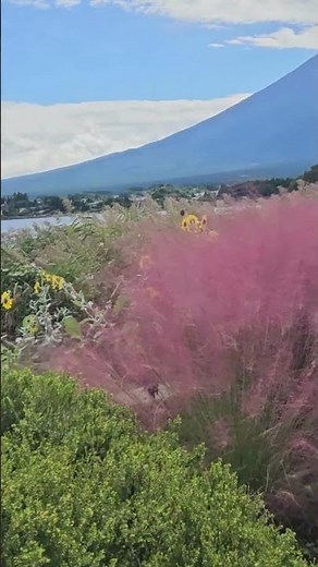 Kawaguchiko in One Day | Mt Fuji & Slow Travel