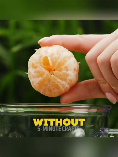 12 Amazing Science Tricks That Look Like Magic 🤯 | Easy DIY Experiments at Home