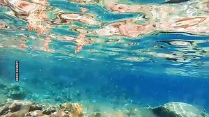 Swimming in an ocean of jellyfish