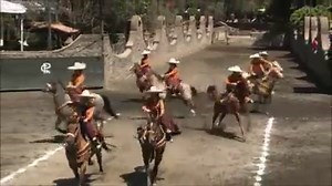 44K views · 1.2K reactions | [20H45  VOYAGE] Direction le Mexique avec le documentaire « Escaramuzas, les escarmouches amazones » qui vous fera découvrir la Charreria, un sport-spectacle national longtemps réservé aux hommes dans lequel brillent particulièrement les femmes ! | Equidia | Facebook