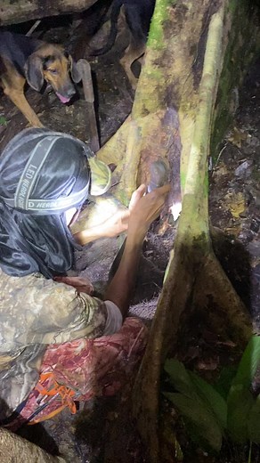 Zion Teesdale (@zion.teesdale)’s videos with original sound - Zion Teesdale