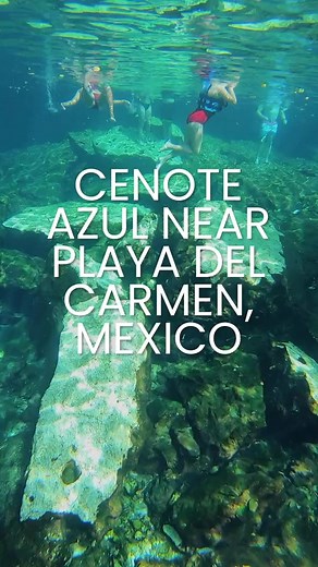 Uncover the secrets of Cenote Azul, a natural #cenote paradise nestled in #PlayadelCarmen 🇲🇽 Cenote Azul is renowned for its captivating natural beauty. The cenote features deep, crystal-clear turquoise waters surrounded by lush vegetation and limestone cliffs, creating a picturesque setting. � 🎥 @pink_plankton on IG � #visitmexico #outdooradventures #PlayadelCarmen #mexicotravel #CenoteAzul #centoes | Matador Network