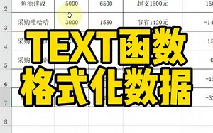 TEXT函数格式化数据