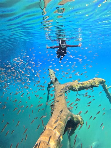 Exploring Labuan Cermin and Kakaban Island Adventures