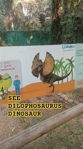 Chhatbir Zoo ka Dilophosaurus | Dinosaur Live in Action! 🦕