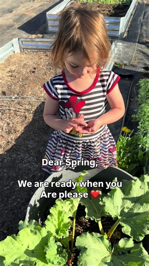 Counting down the days to muddy boots, open windows, baby animals, and everything coming back to life. Winter is beautiful but we are so ready for green again. #springiscoming #countryliving #homesteadlife #seasonalliving #simplemoments