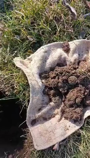 1880s Ohio Soldiers and Sailors Home uniform button #uncoveringohio #Ohio #history #relics