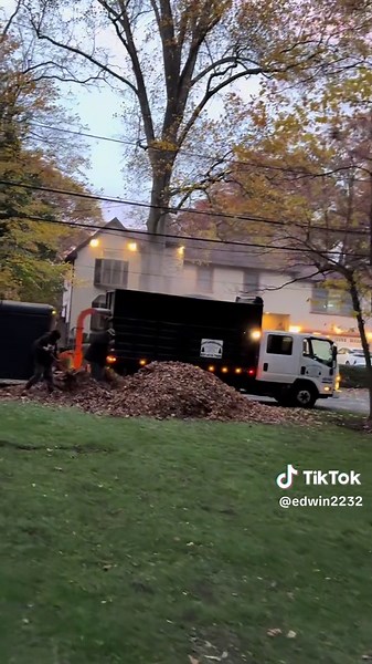 Expert Yard Cleanup Tips for Efficient Landscaping