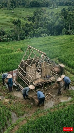 Complete Bamboo House Build Timelapse