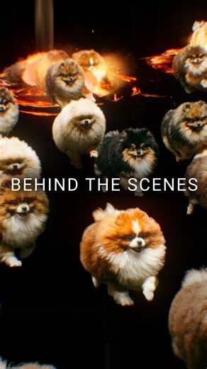 Gavin Shapiro on Instagram: "Here’s a little how-to video in case you ever need to make a billion ai Pomeranians running towards their dreams #behindthescenes #tutorial #aftereffects #animation #compositing"