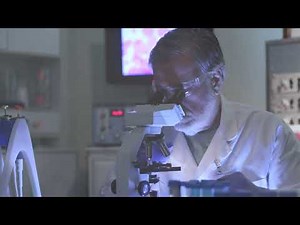 Exploring large multi-channel and time series with Amira Software