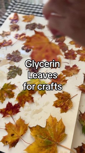 How to Preserve Leaves with Glycerin for Autumn Crafts