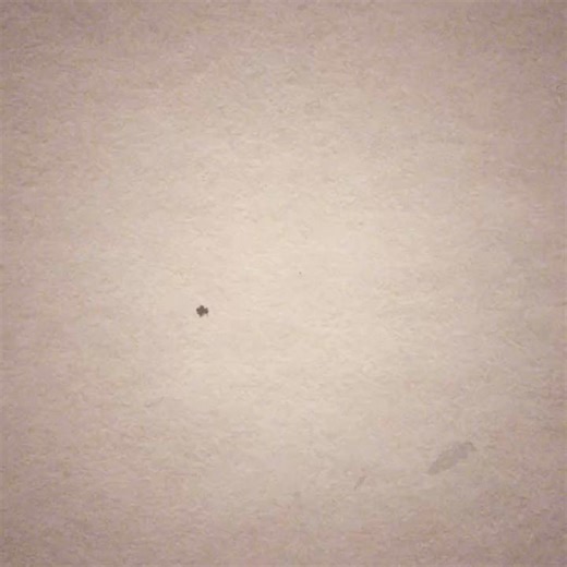 15K views · 126 reactions | Sell your Magic cards for more with Card Conduit. | Card Conduit | Facebook